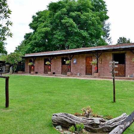 Owls Loft Guest House Midrand Zewnętrze zdjęcie