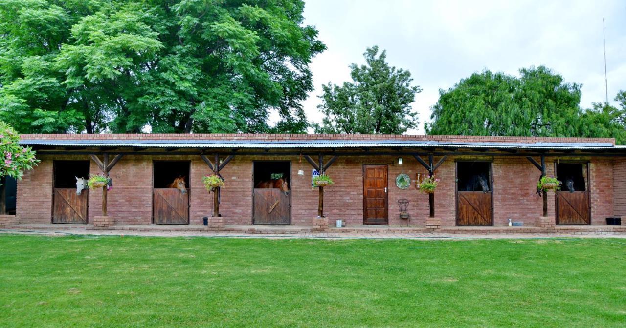 Owls Loft Guest House Midrand Zewnętrze zdjęcie