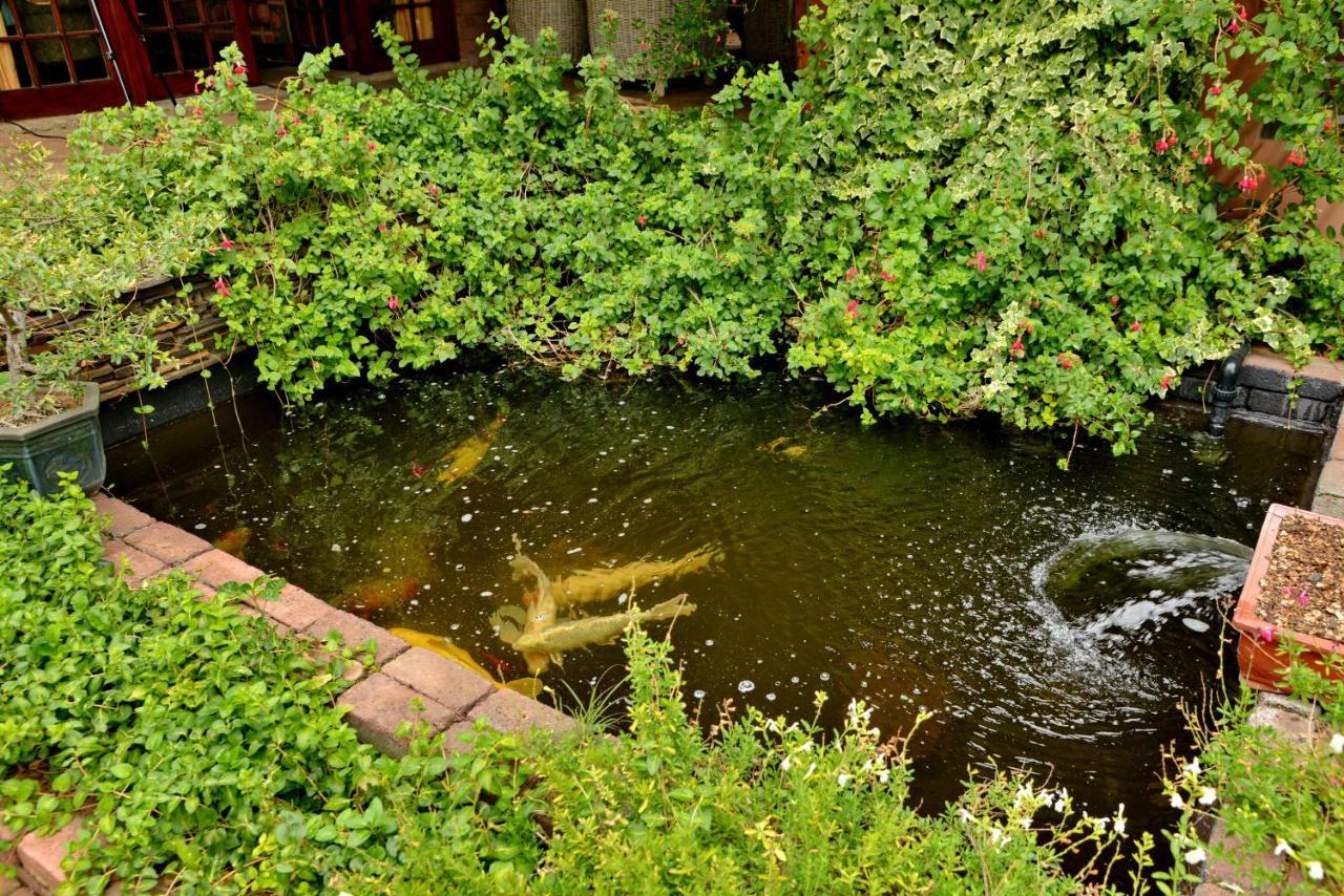 Owls Loft Guest House Midrand Zewnętrze zdjęcie