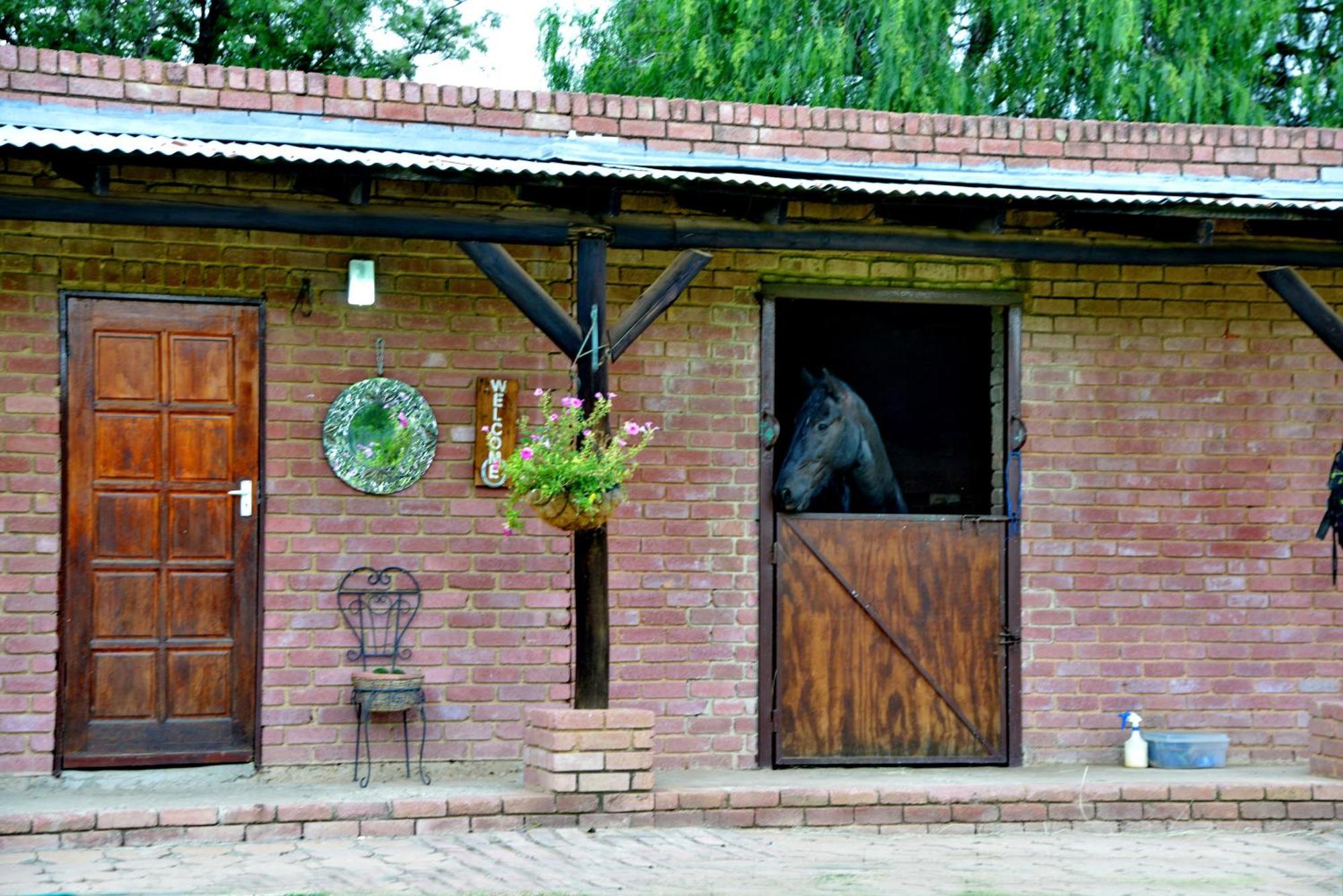 Owls Loft Guest House Midrand Zewnętrze zdjęcie