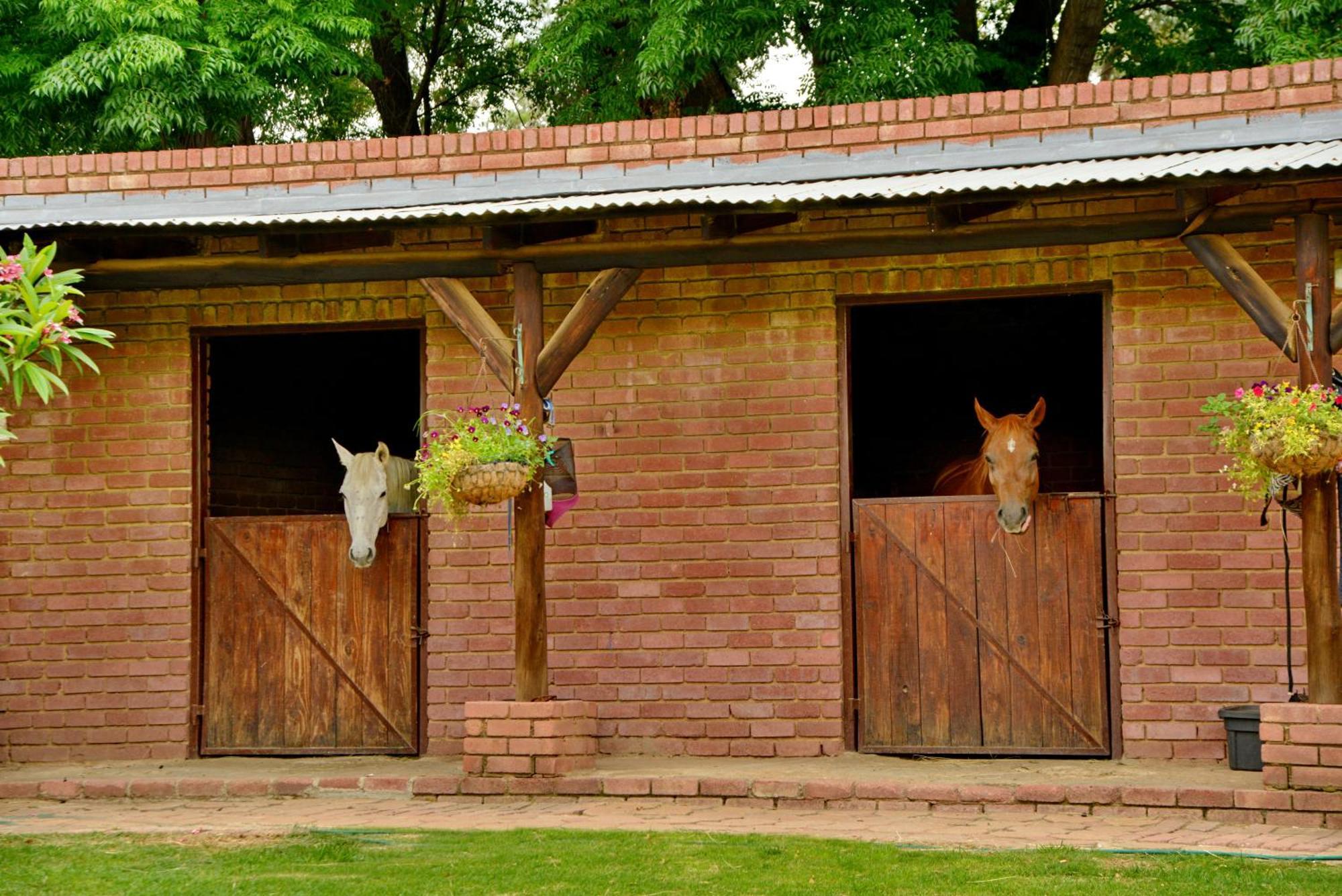 Owls Loft Guest House Midrand Zewnętrze zdjęcie