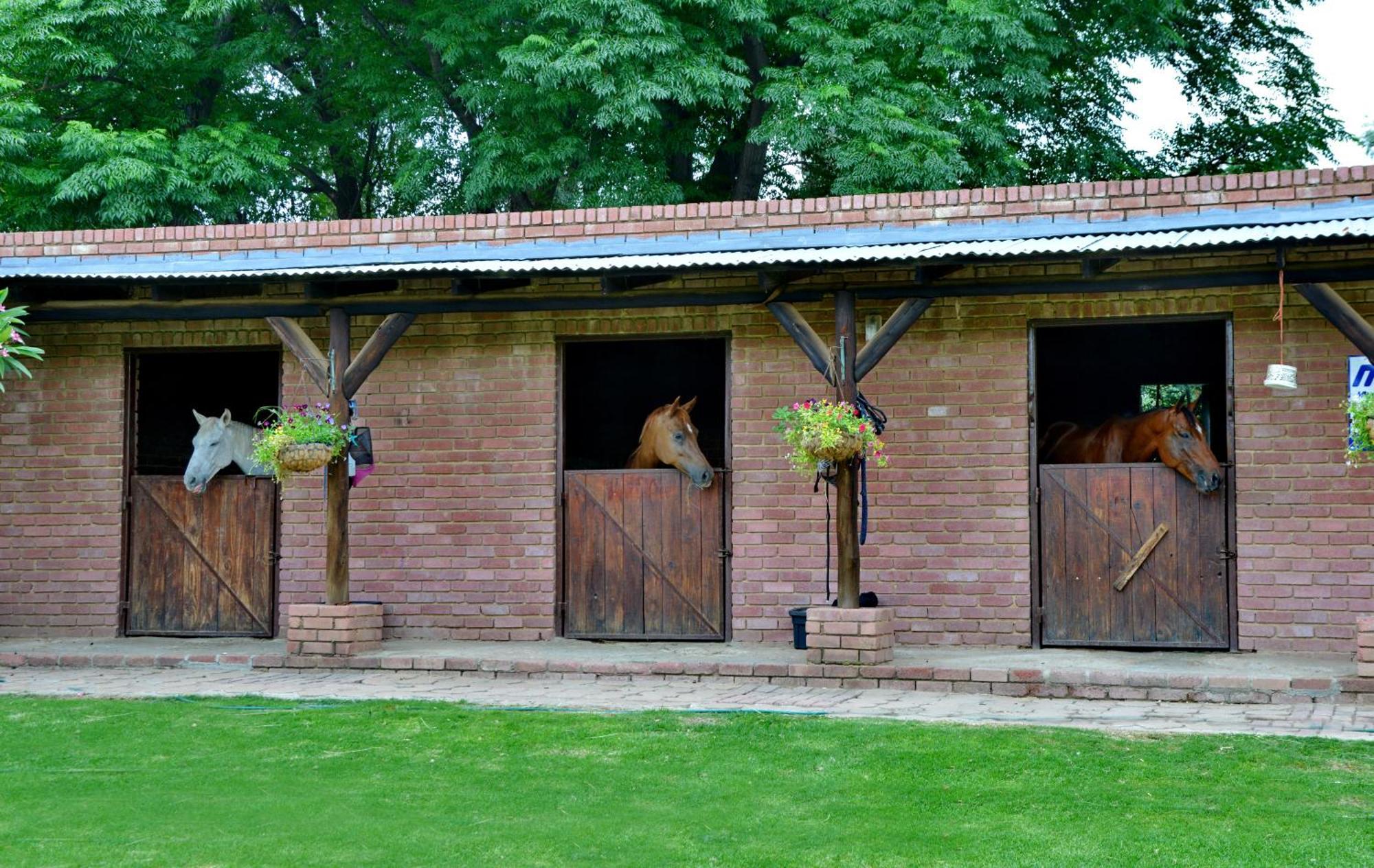 Owls Loft Guest House Midrand Zewnętrze zdjęcie