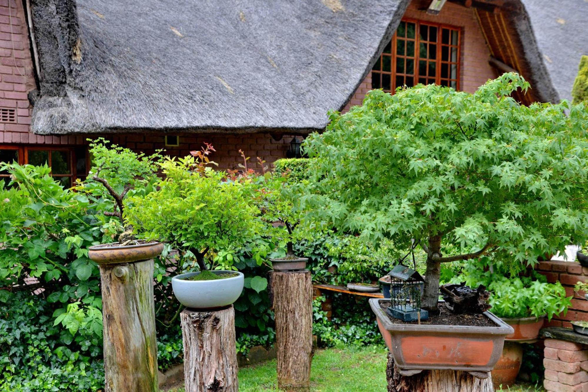 Owls Loft Guest House Midrand Zewnętrze zdjęcie